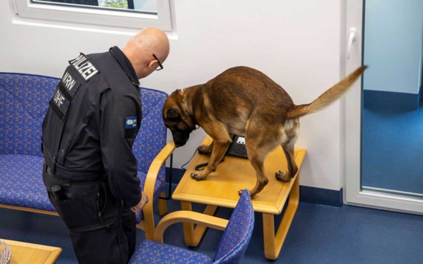 Polizeihund im Einsatz von Jochen Tack / IM NRW