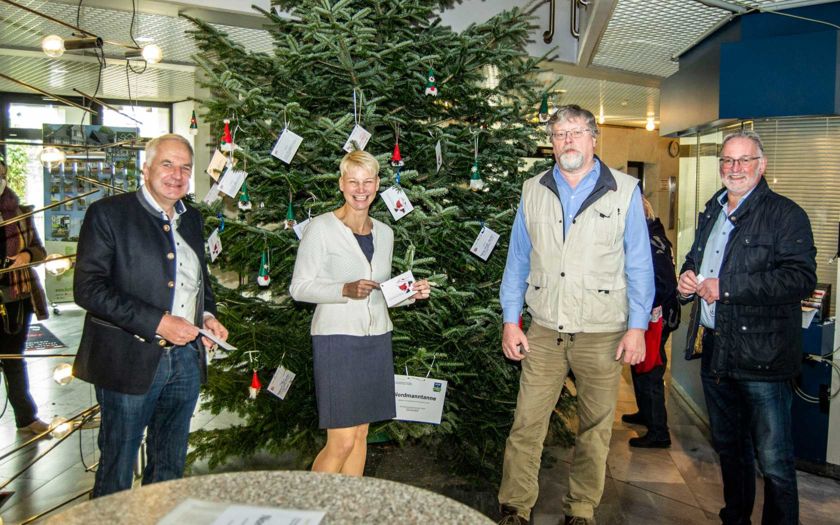 Bergische Nordmanntanne für den Weihnachts-Wunschbaum im Rathaus Wermelskirchen