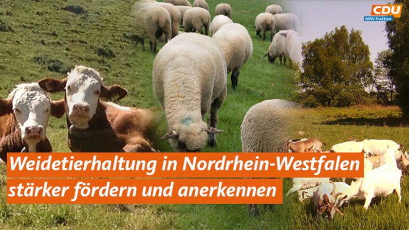 Grafik: Weidetierhaltung in Nordrhein-Westfalen stärker fördern und anerkennen